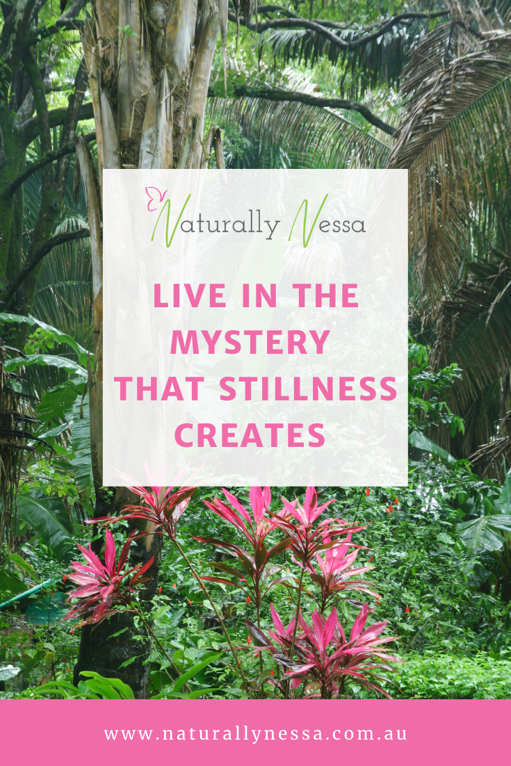Live In The Mystery That Stillness Creates