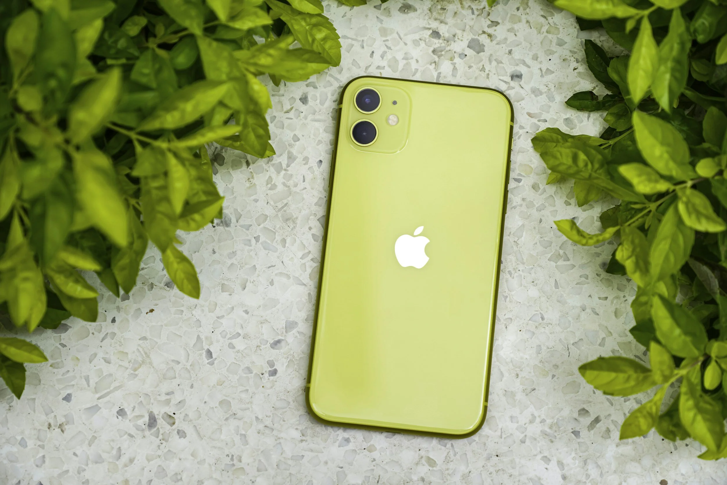iPhone 11 Battery Replacement in Burlington, VT