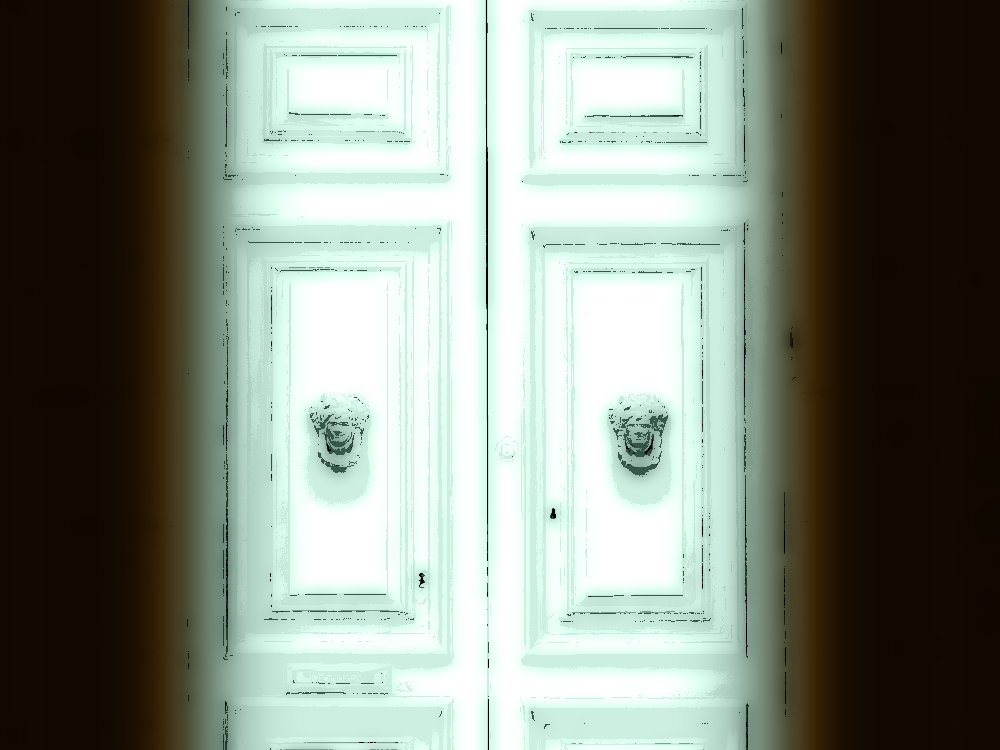 Case No. 5