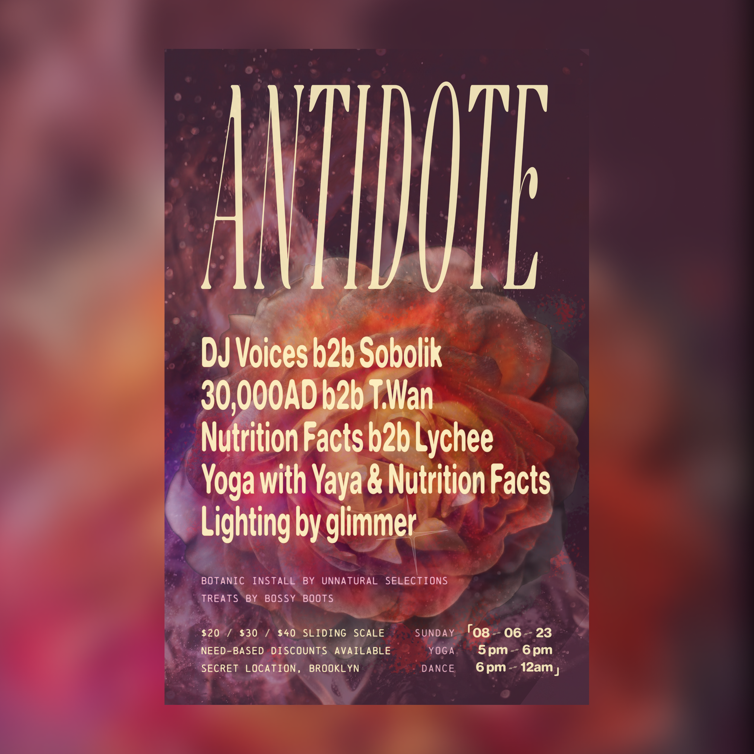 Antidote, NYC