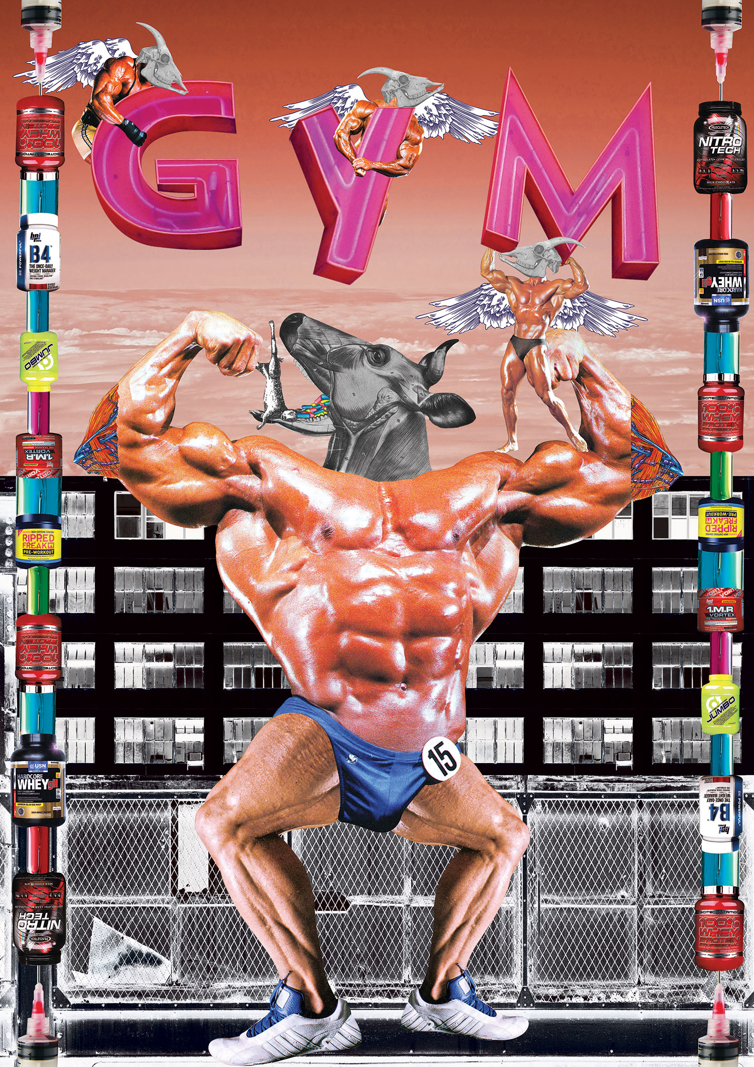Gym-2015.jpg