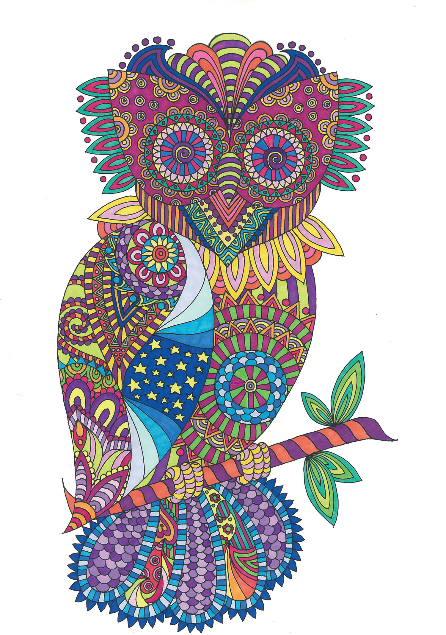 Paisley-Pattern-Owl-2017.jpg