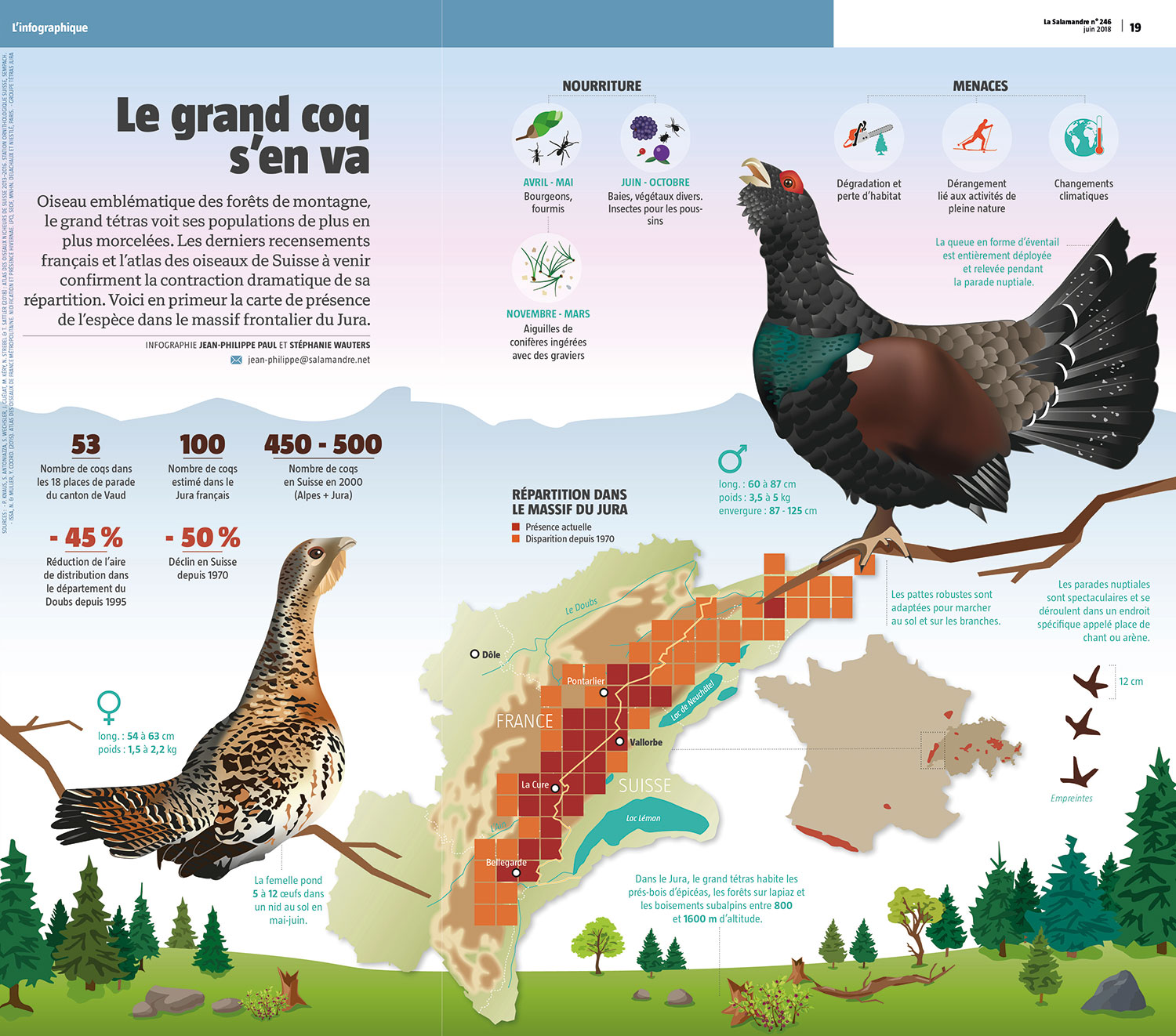 capercaillie_infographic_2018.jpg