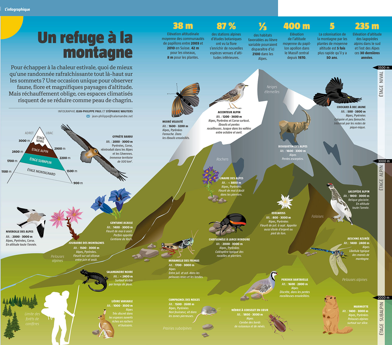 mountain_levels_infographic_2018.jpg