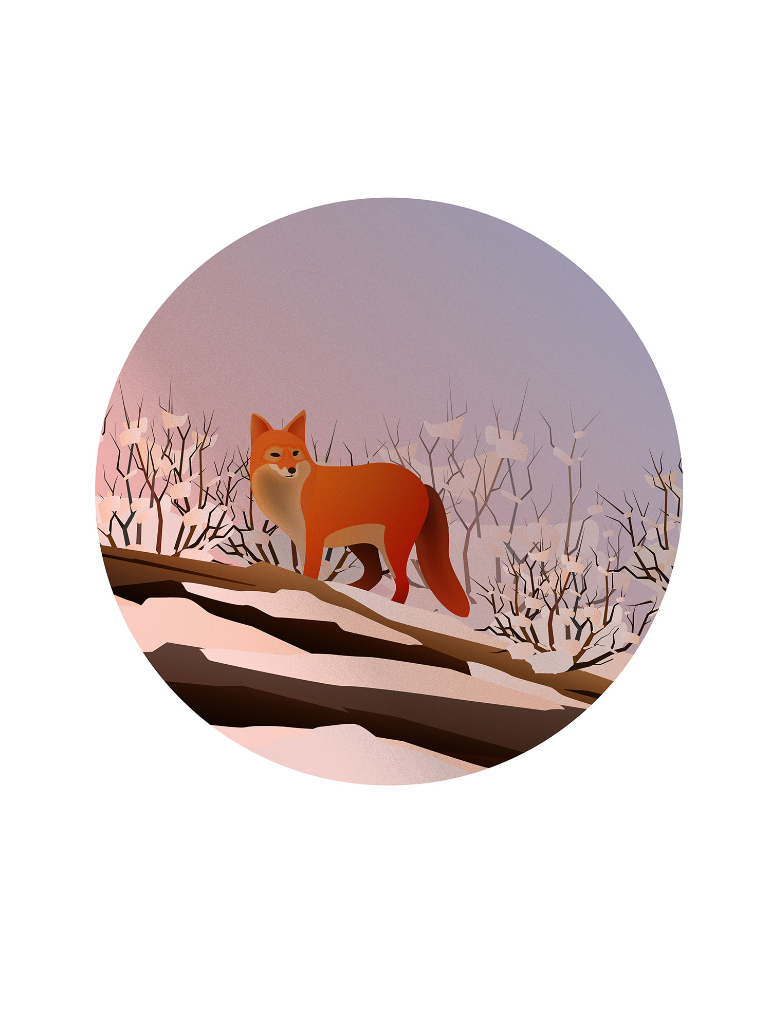 Christmas-fox-2016.jpg