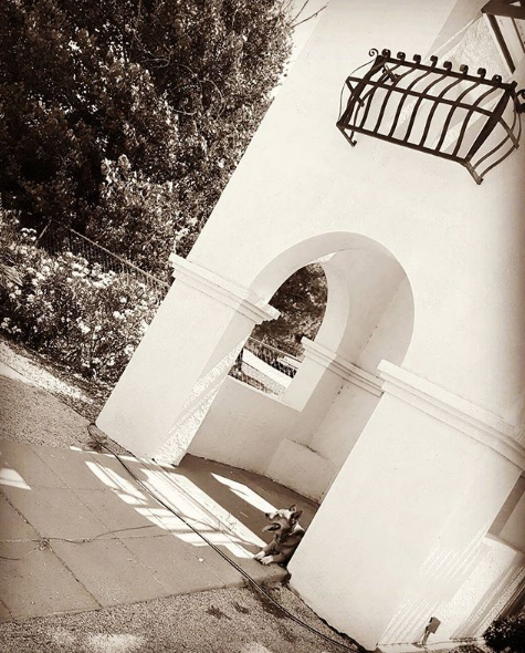 Tango in New Mexico.PNG