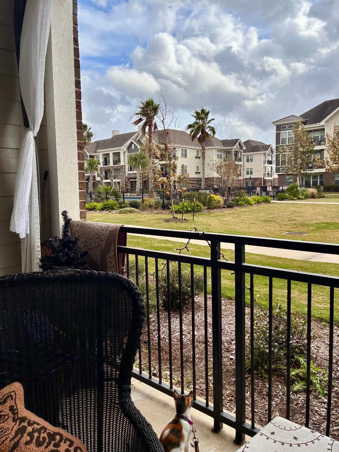 Under the Palm Tree; Where you’re planted matters.  