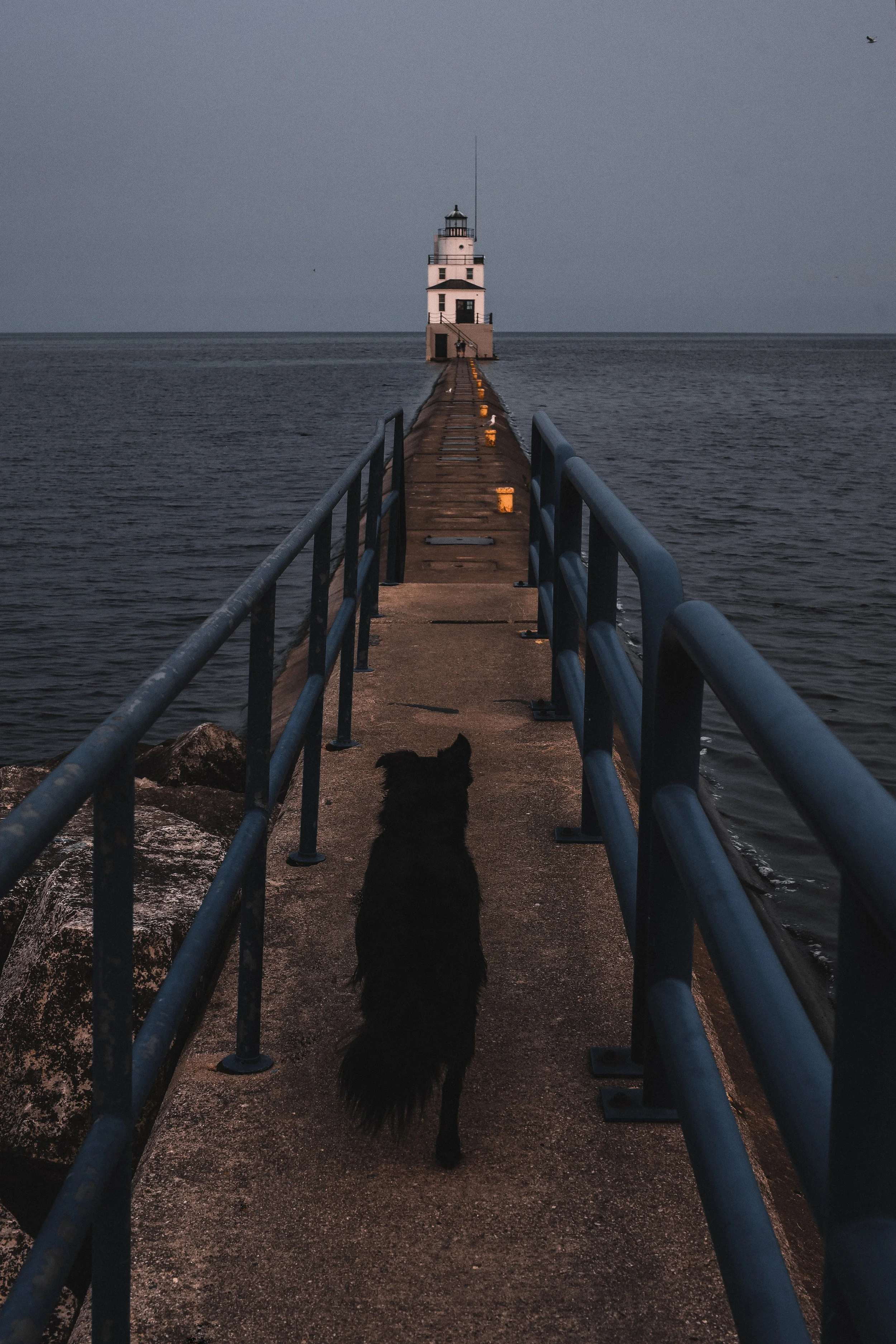 PRO_0247._2jpg