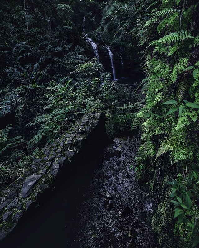 Three bears falls, Maui. 
#gocaptivated #modernwild #hawaii #maui #roadtohana #roadtrip #waterfallsfordays #chasingwaterfalls #instagood #travellovers #optoutside #lonelyplanet #travelmore #landscapephotography #livefolk #adventurespirit #wondermore 