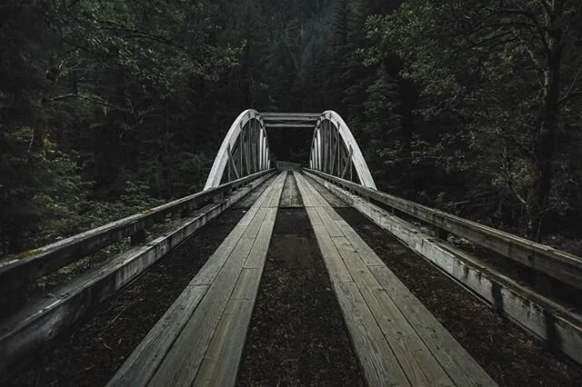 Some beautiful places cant be discovered without getting lost. 
#gocaptivated #pnw #pnwdiscovered #cravethewild #wildernessnation #pnw_roaming #pnwonderland #pnwcrew #oregon #travelphotography #instagood #instatravel #idhikethat #roadtrip #forest #mo