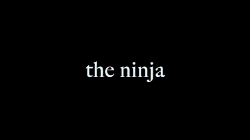 ninja.gif
