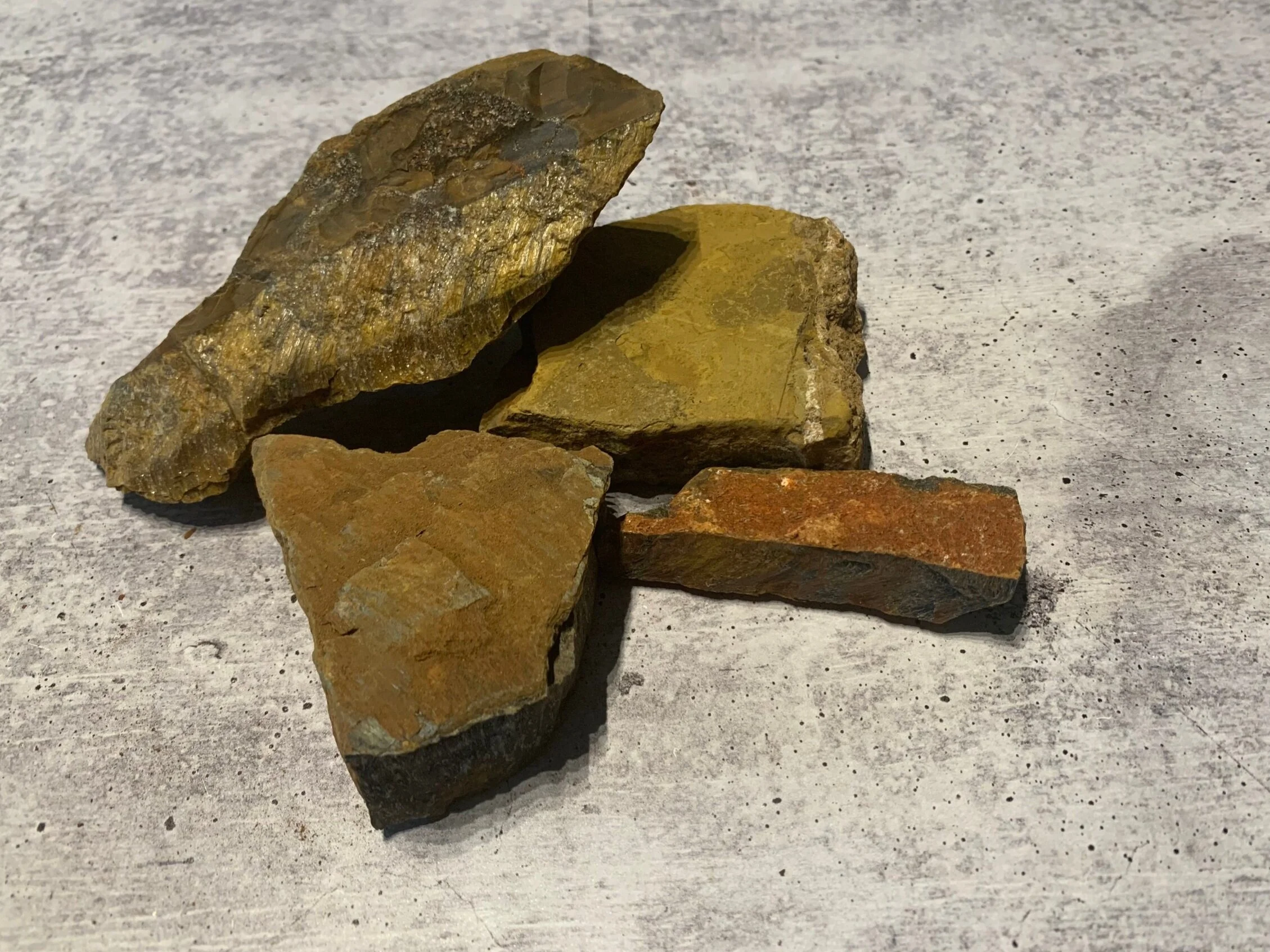 E1255DC7-3CAA-486E-901A-4F7DE13D1F64