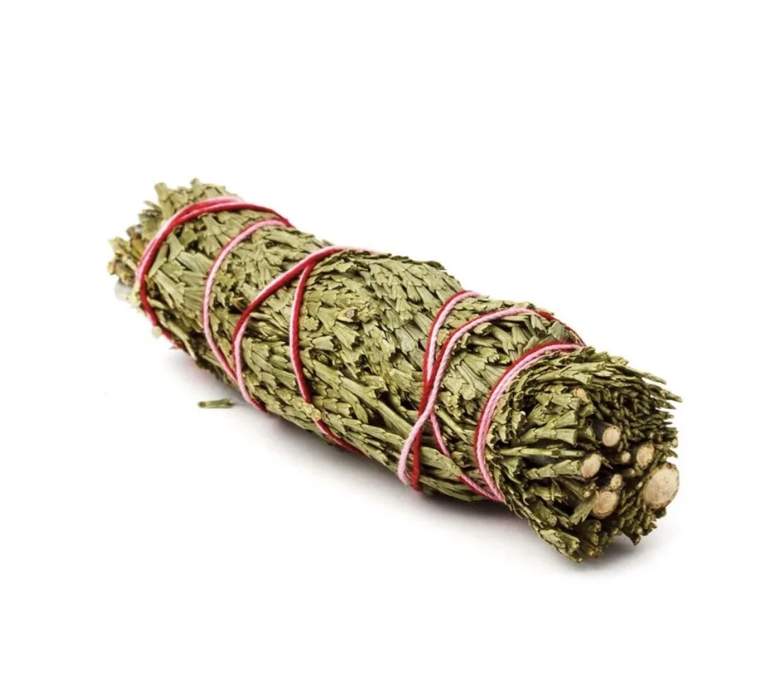 86E2A78C-817C-4E6B-8802-A25809F2FB8F