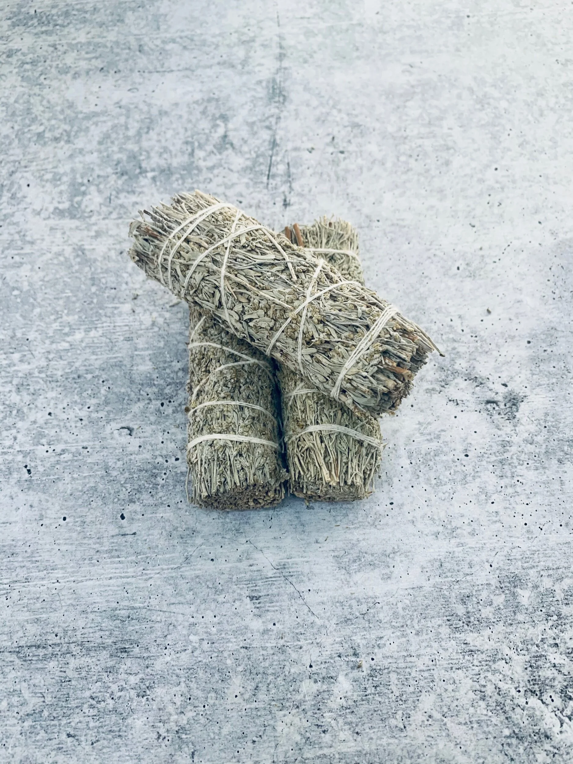 5943F9ED-ACB7-45CE-866F-9D477CF6DEC3