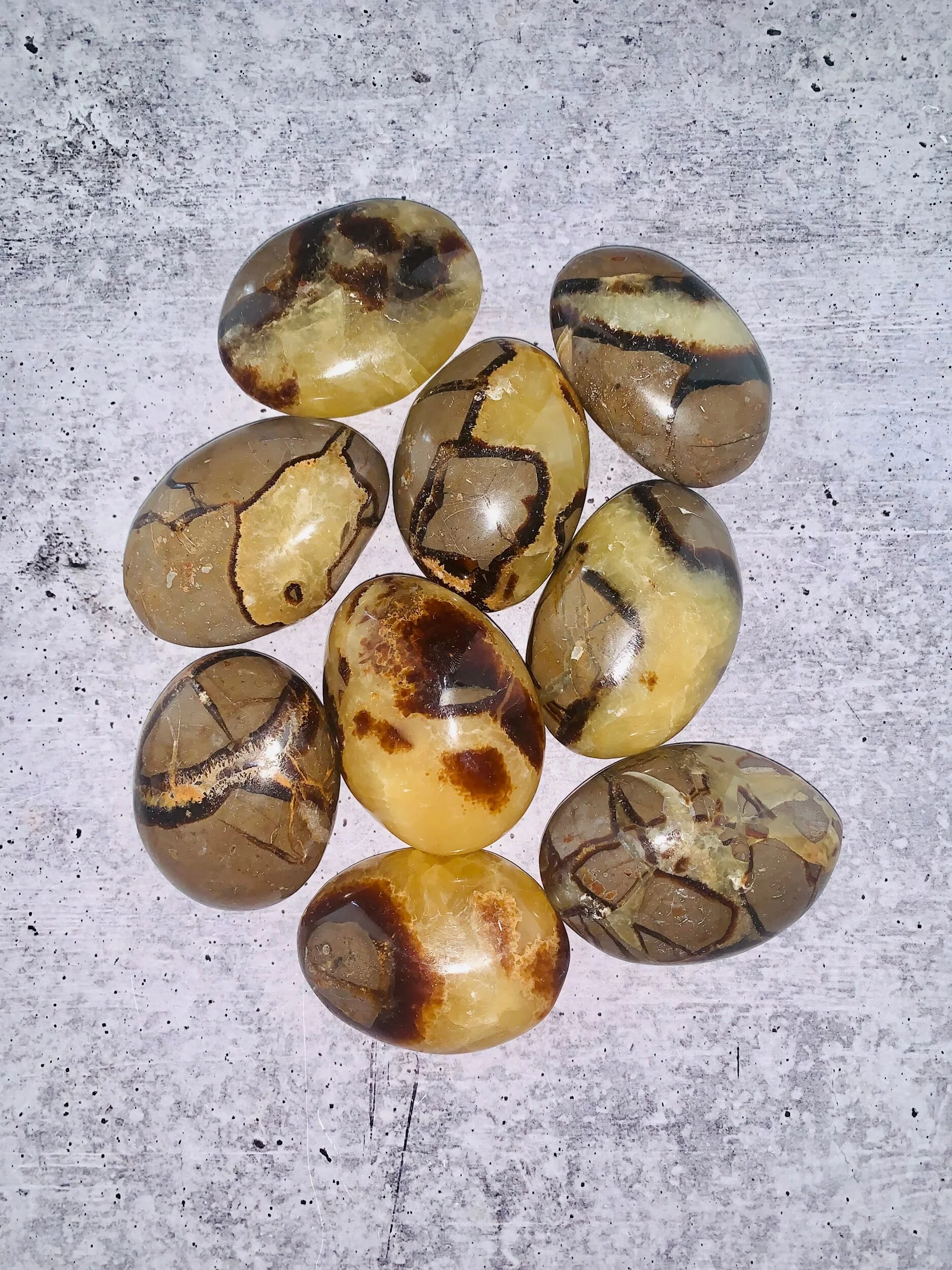 984DF79F-14F7-4257-A742-E20FE86B362F