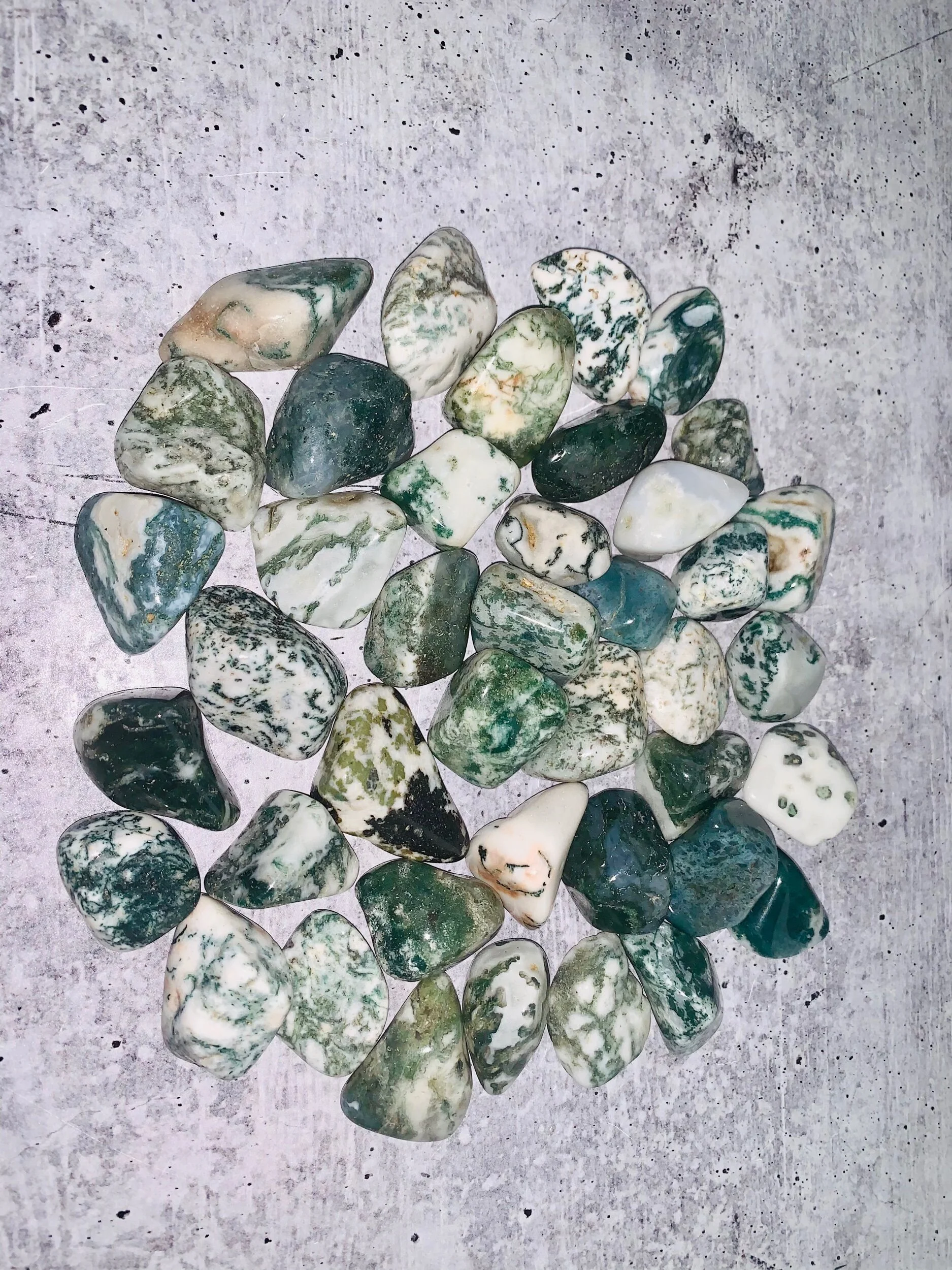 8B93C53F-E886-4E32-9B59-91259BF558BC