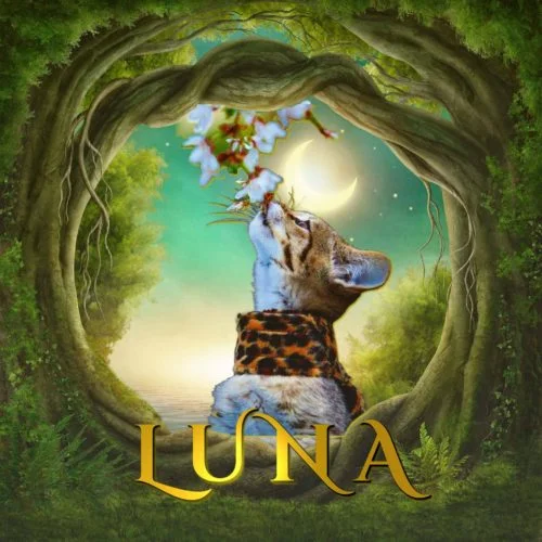 Savannah Luna's GS-441524 Drug Trial for FIP Day One