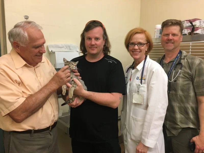 Luna's GS441524 FIP New Drug Trial Update - Day Five (2017)