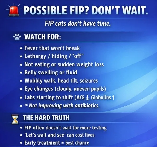 Why waiting to start treatment is a bad idea