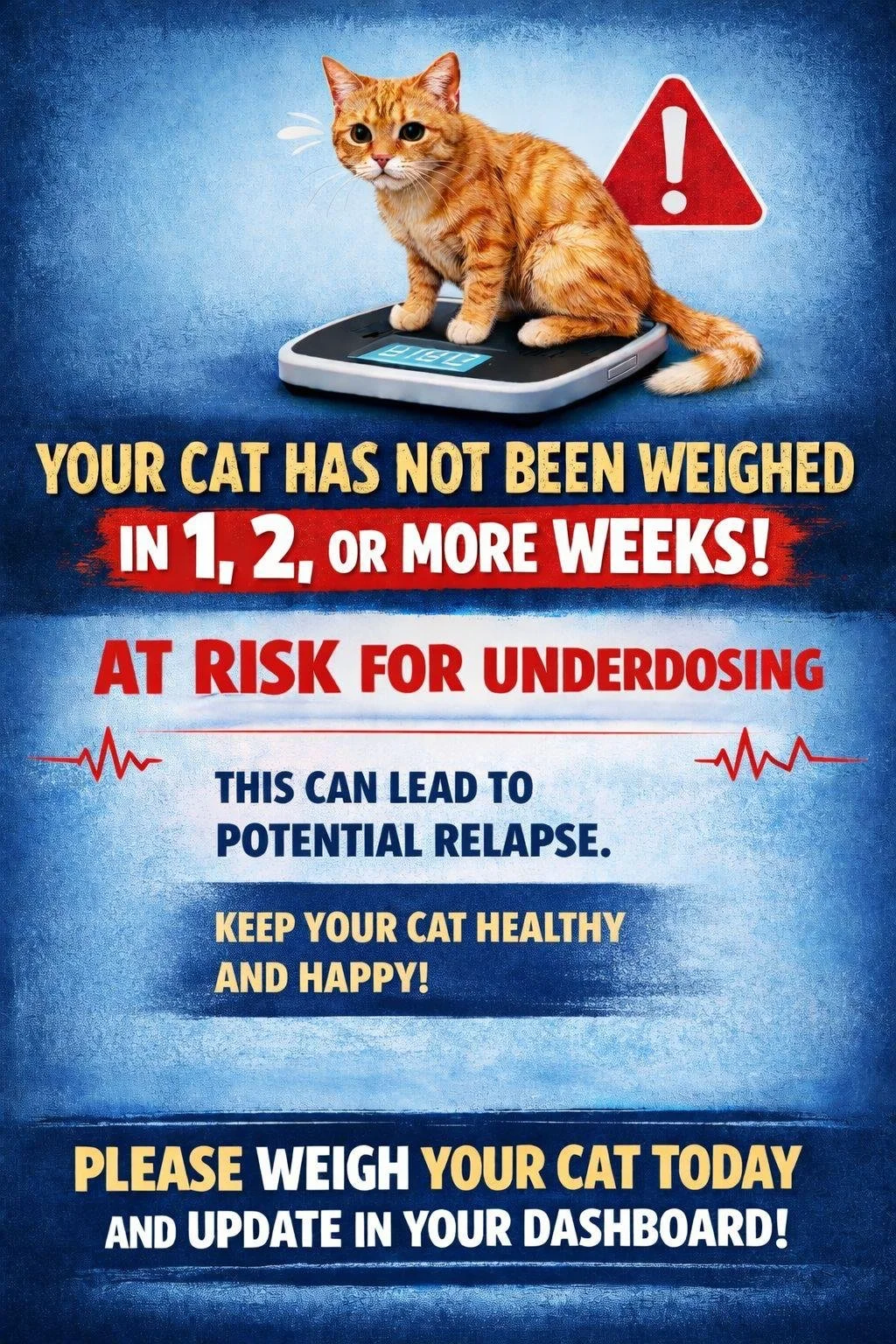 Weigh your cat weekly