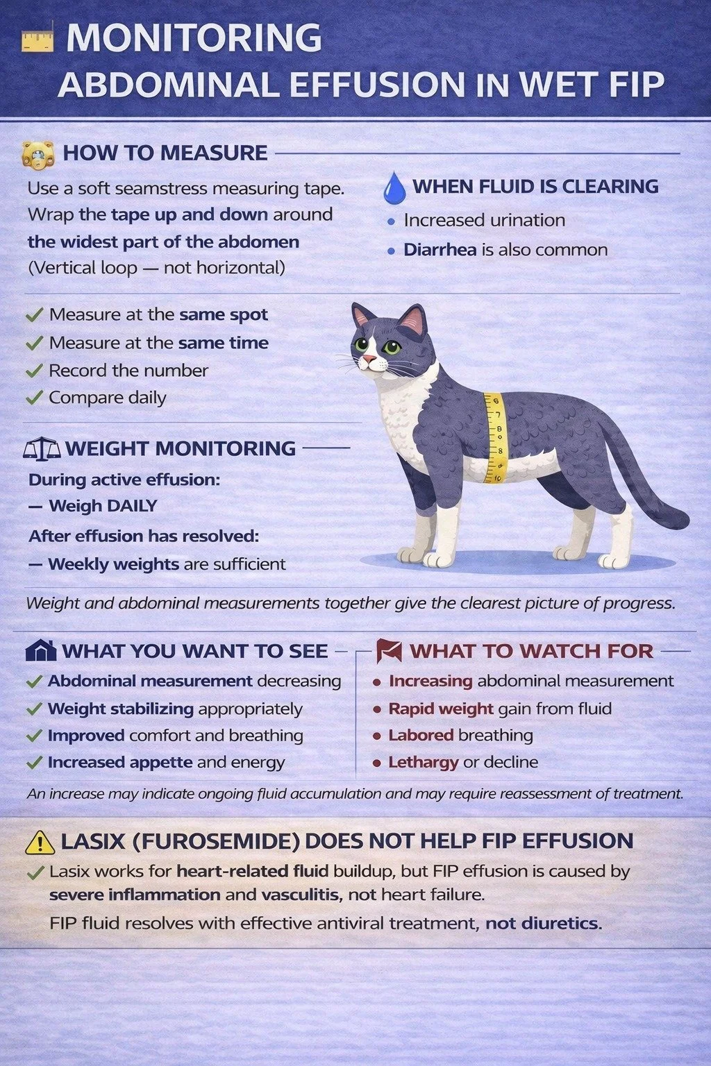 Effusive Abdominal Wet FIP