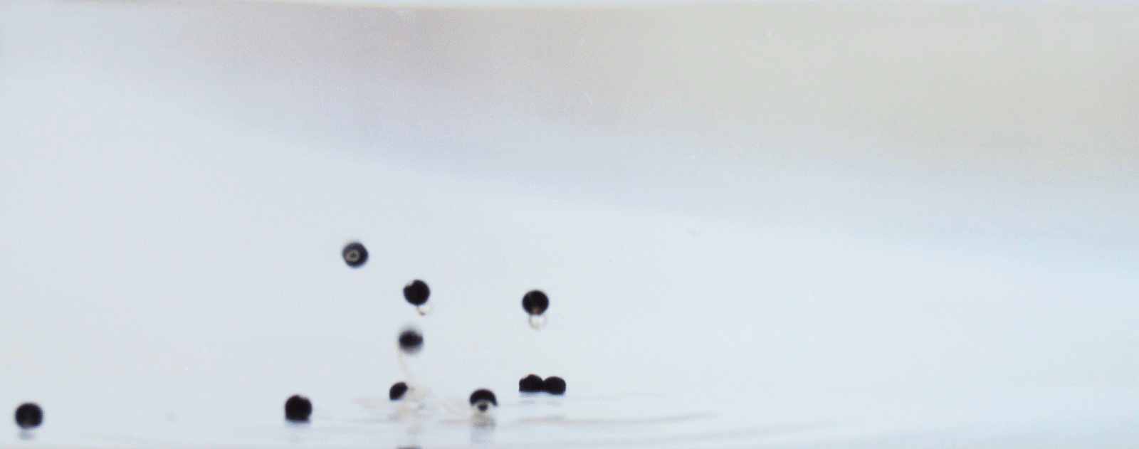 fluid_Ink_2_2.gif