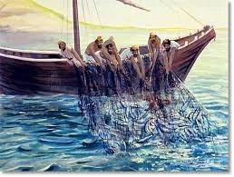 #4: Why so many fish?