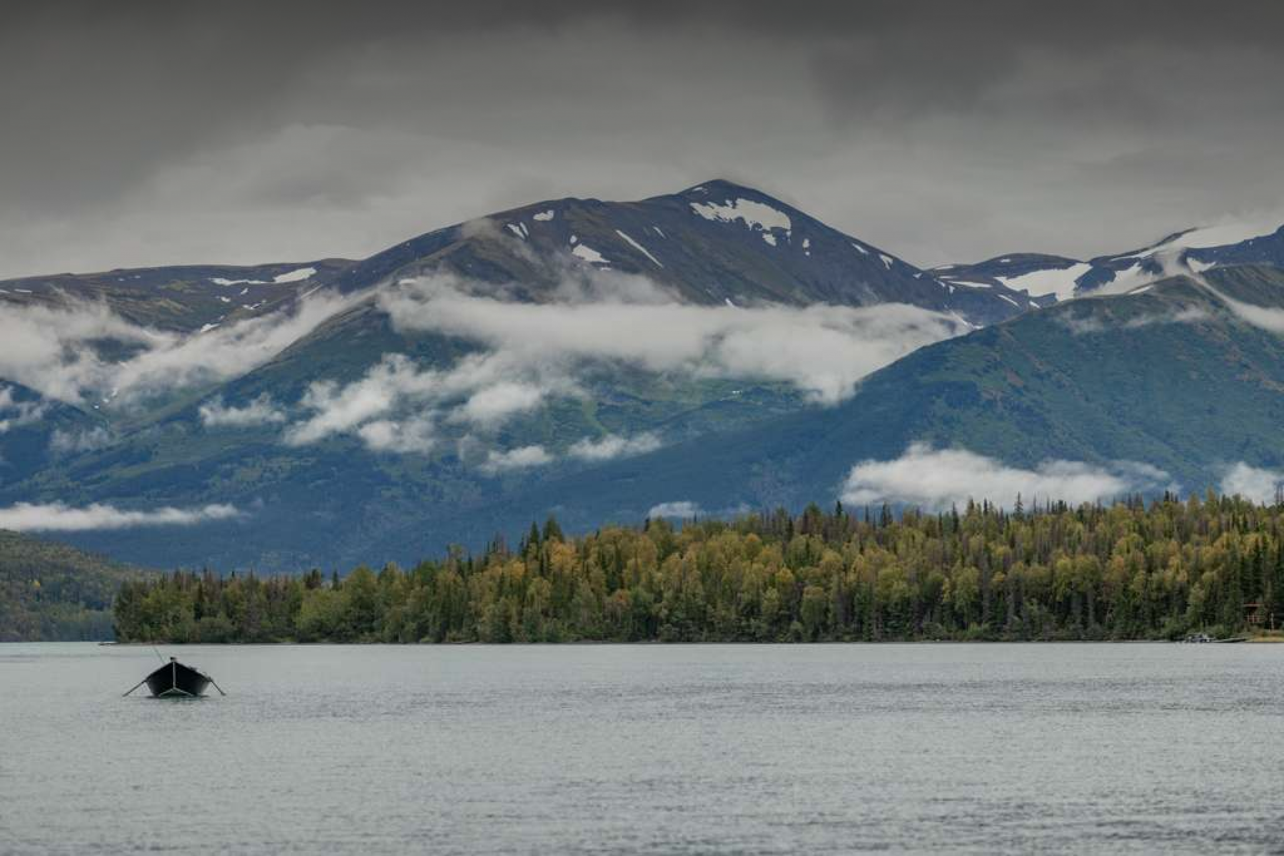 background only 2.png