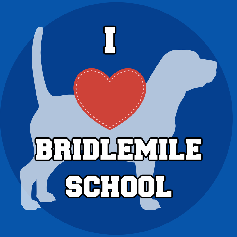 Bridlemile Elementary