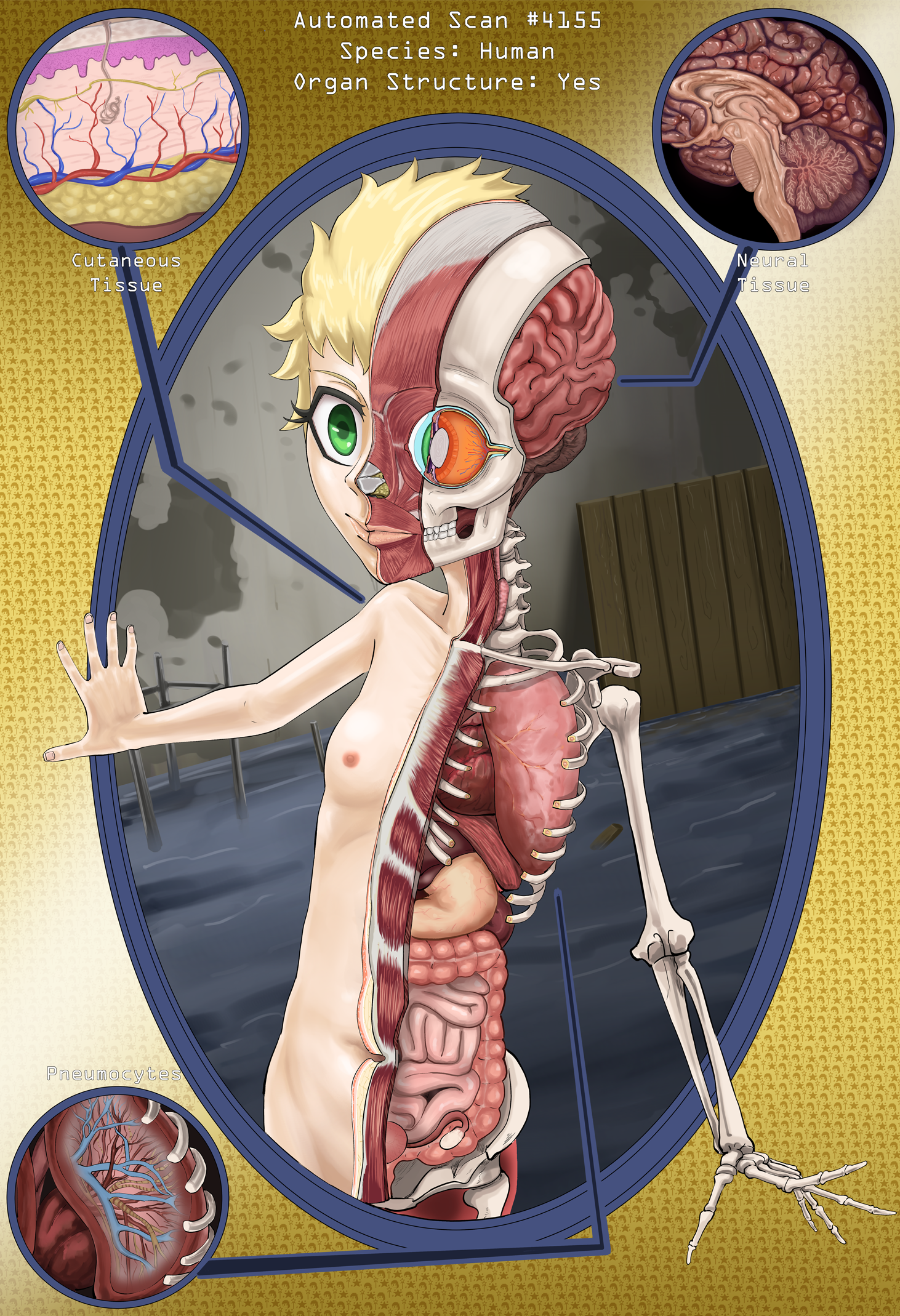 anatomy posters copy5smol copy.png