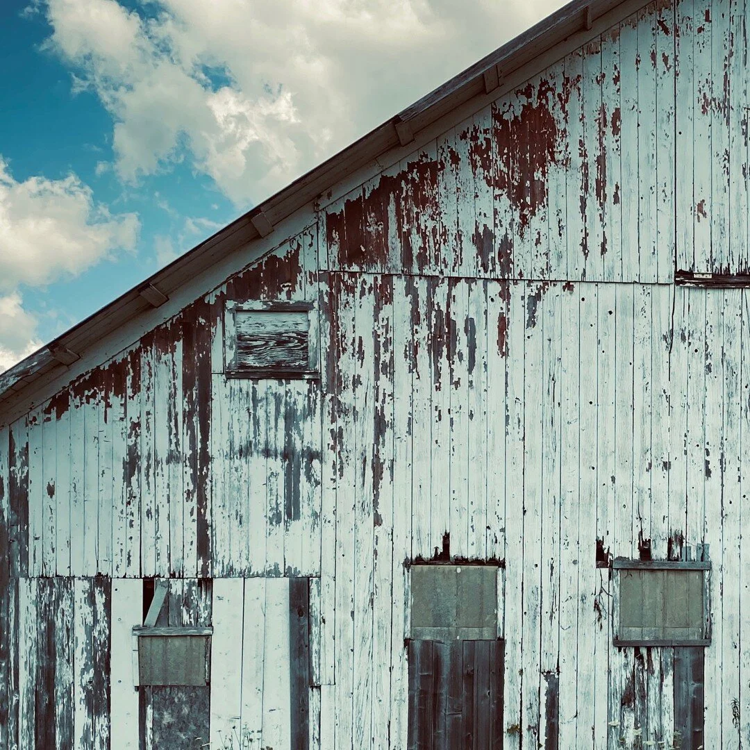 &quot;If you don't love driving backroads with the windows down and music up 🎶you're livin' life wrong.&quot; ⠀⠀⠀⠀⠀⠀⠀⠀⠀
⠀⠀⠀⠀⠀⠀⠀⠀⠀
Taught my kid the beauty in taking a long ride down a dirt road and it was everything I wanted it to be (except for our