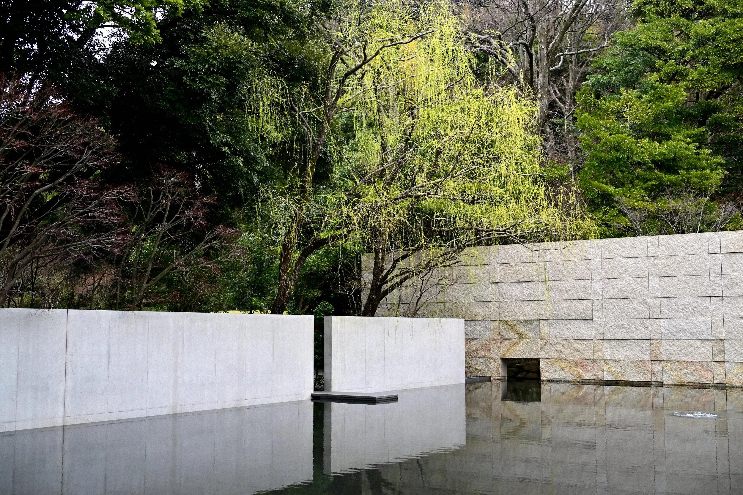 2026_JPN_97.JPG