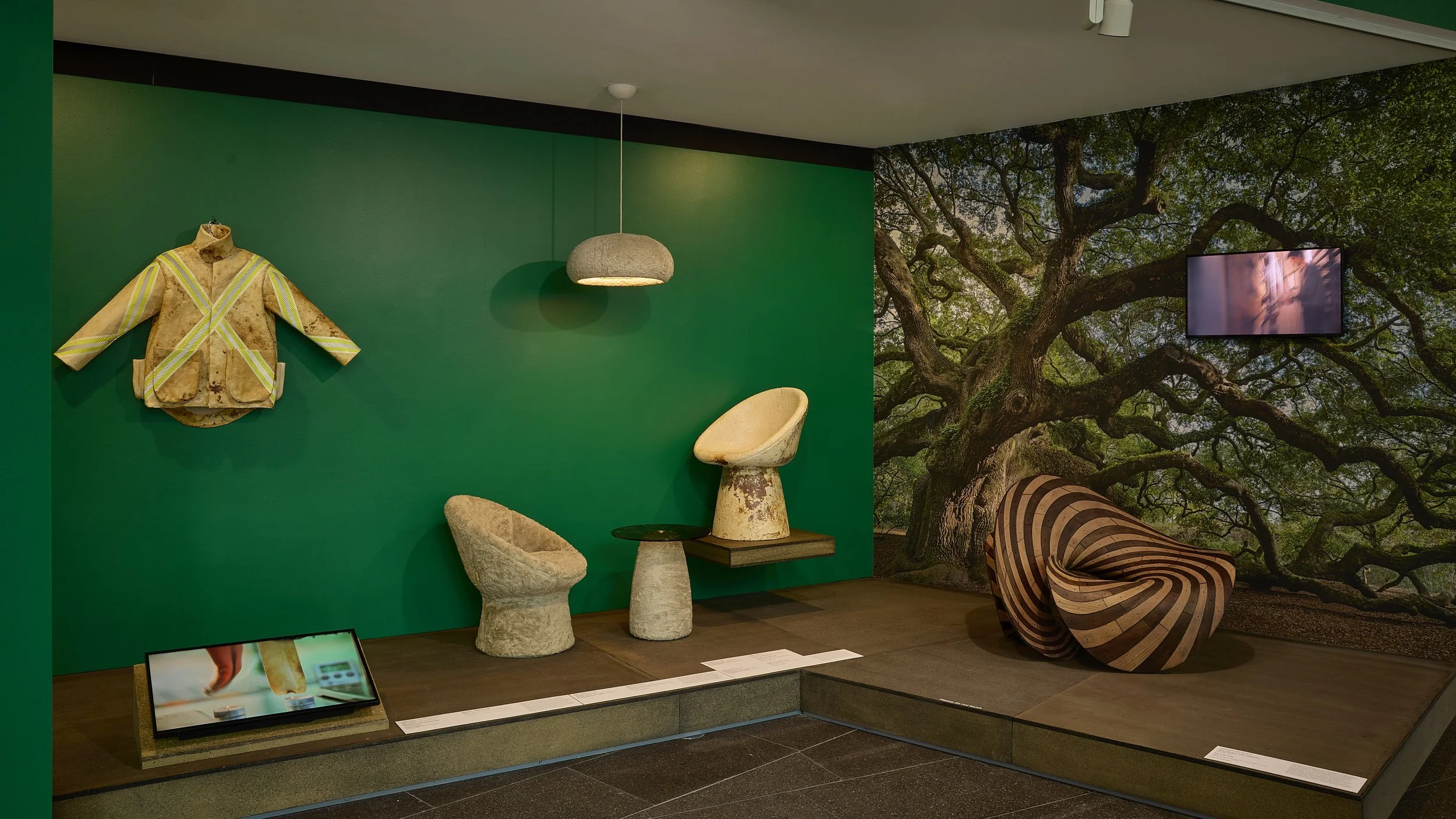 20260826_NGV_PlantLife_002.JPG