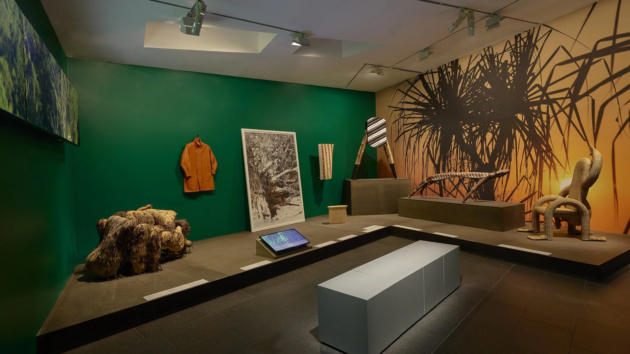 20260826_NGV_PlantLife_020.JPG