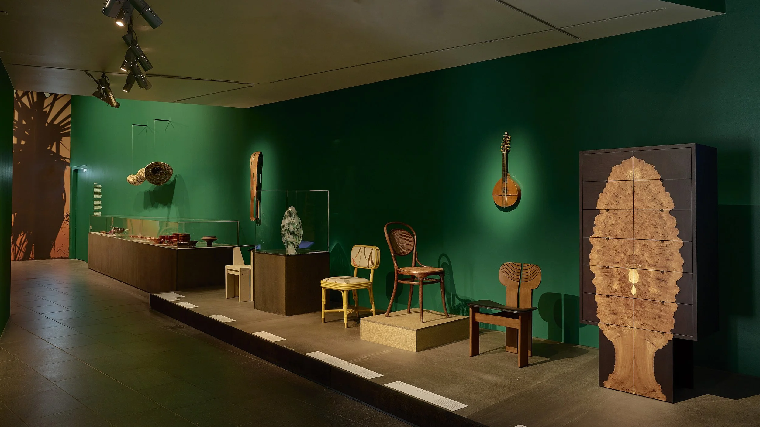 20260826_NGV_PlantLife_025.JPG