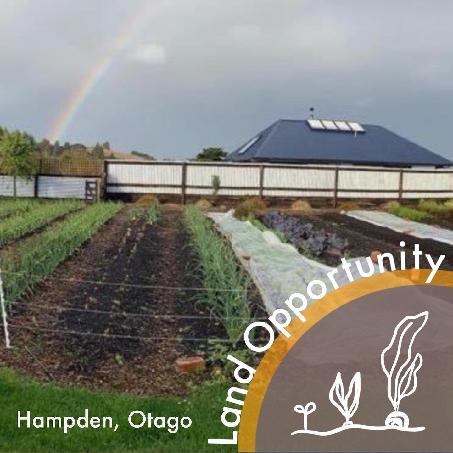 Existing no-till garden with 2 bedroom house for sale in Hampden, Otago. Established 1/4 acre garden with room to expand up to about 3/4 acre. Existing customers and some tools available. Find out more at the link in bio. And check out @hampdenhalfac