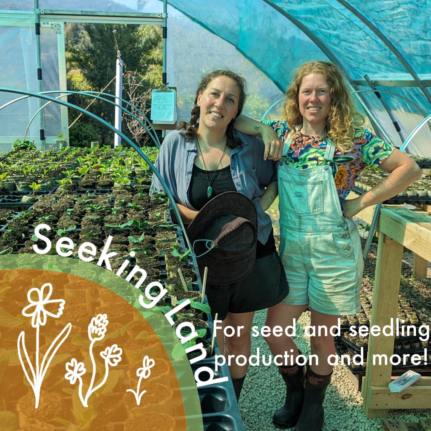 SEEKING LAND - North Island and top of South Island. @theeasternfield and a new social enterprise, Te Kohanga Kai, are looking for a new home. They are seeking 1.5 to 2 acres to continue their seed saving, plant nursery, and garden consultancy, and d