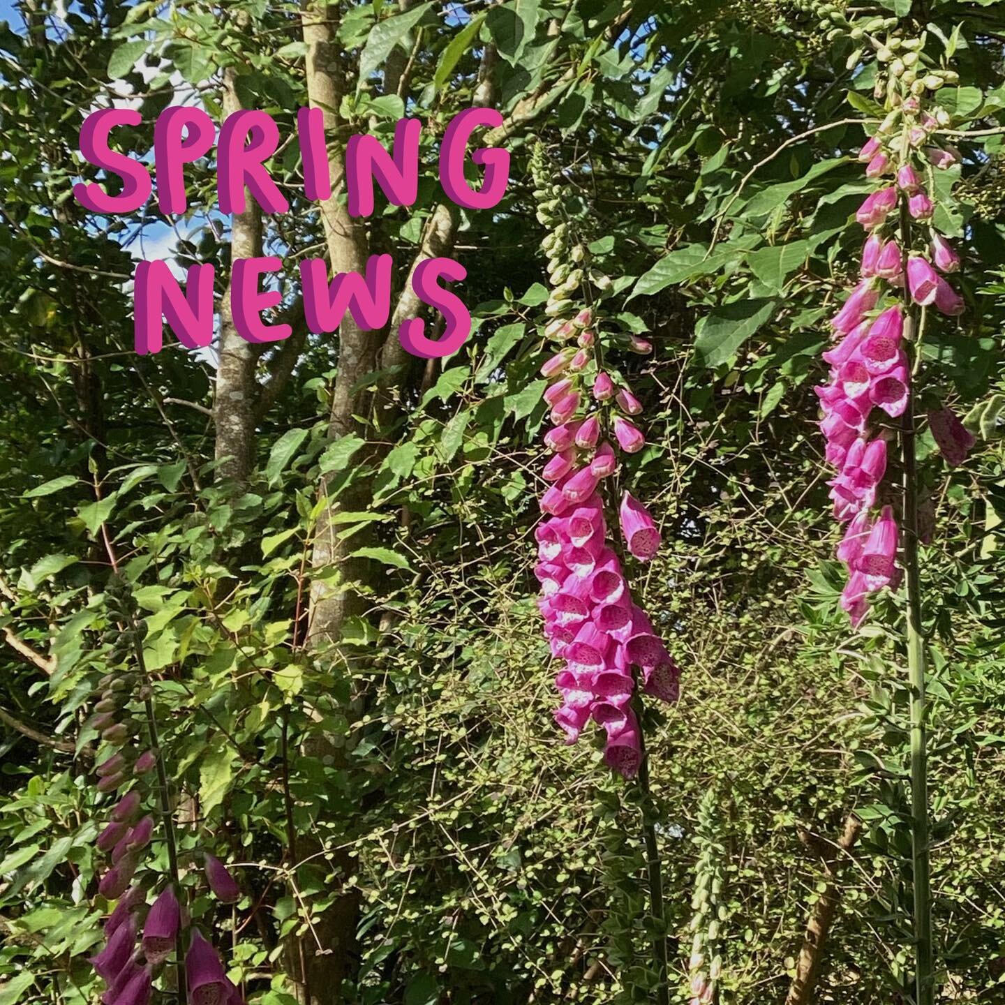 Our spring newsletter is out now. Have a read at the link in bio!

#landaccessnz #landsharingnz #marketgardennz #panuikoanga #villageagrarians