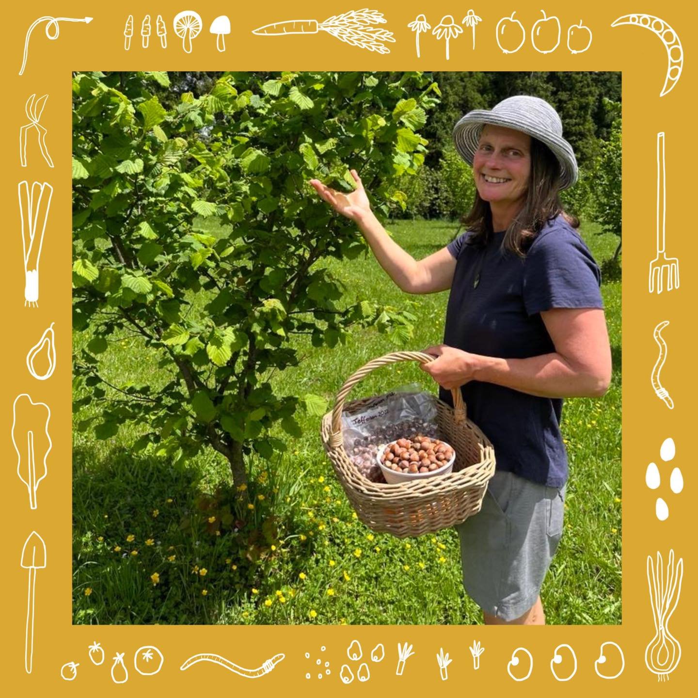 MEMBER SPOTLIGHT - This season we were lucky to connect with Alison Bentley from @tikitere_farm . She produces hazelnuts and beef in Rotorua and has  spent the last year doing research into local food systems. Find out more about her and her work bel