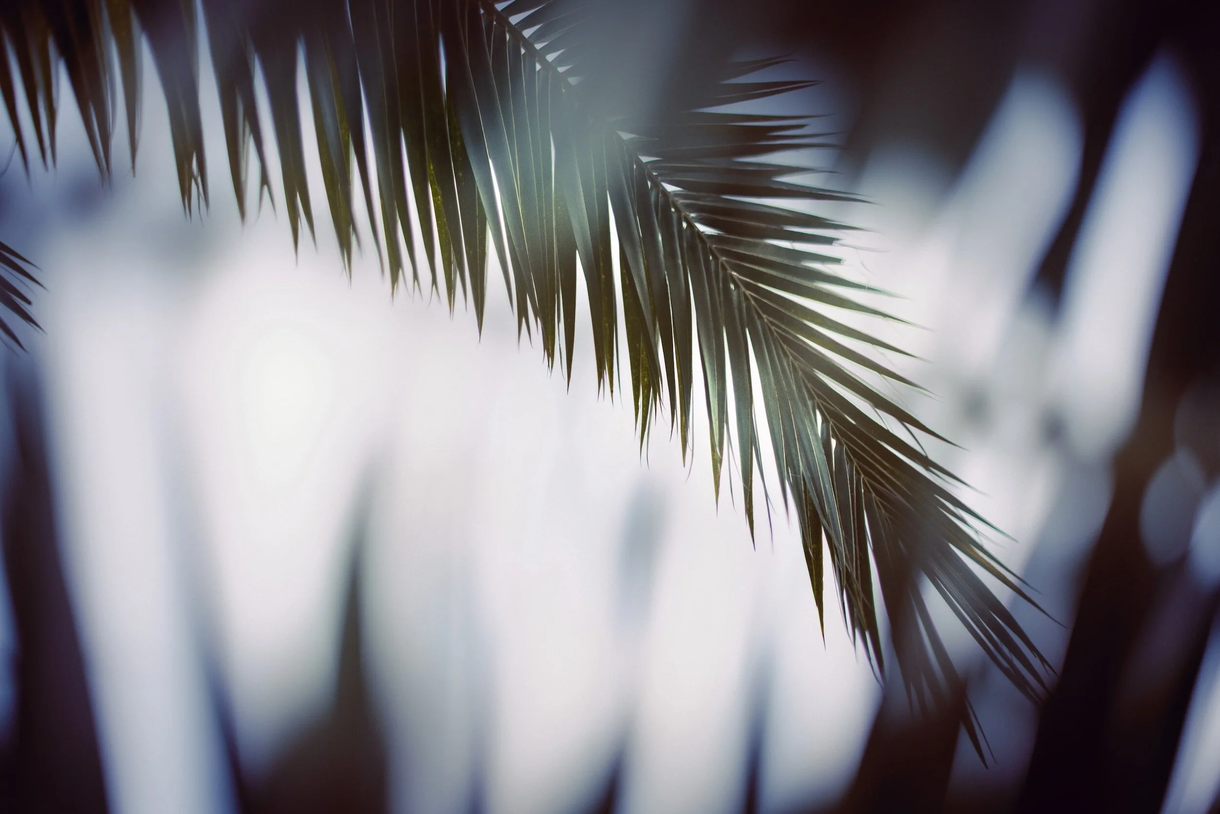 Looking Ahead to Holy Week 