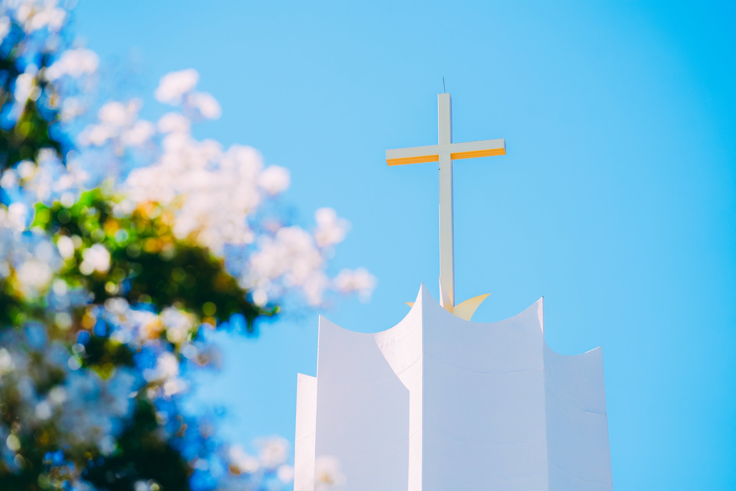 Notes from “Future Vision/Strategy” Meeting with Bishop Saenz
