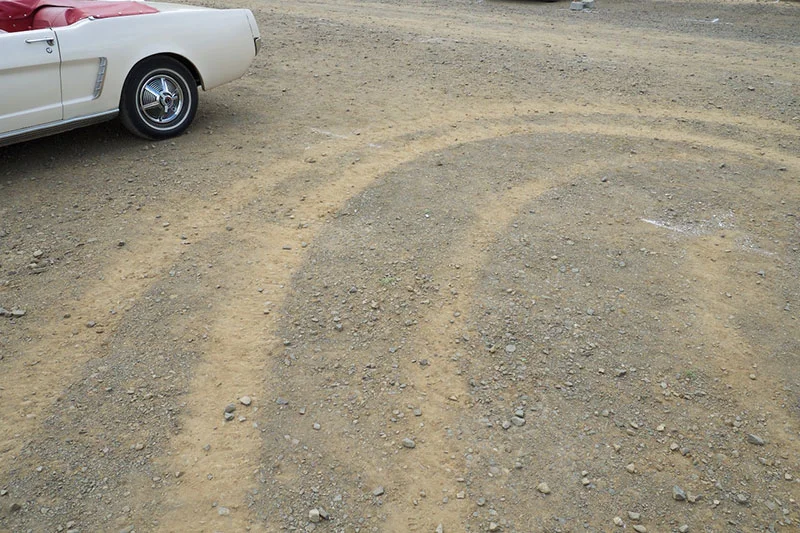 DSCF9953.jpg
