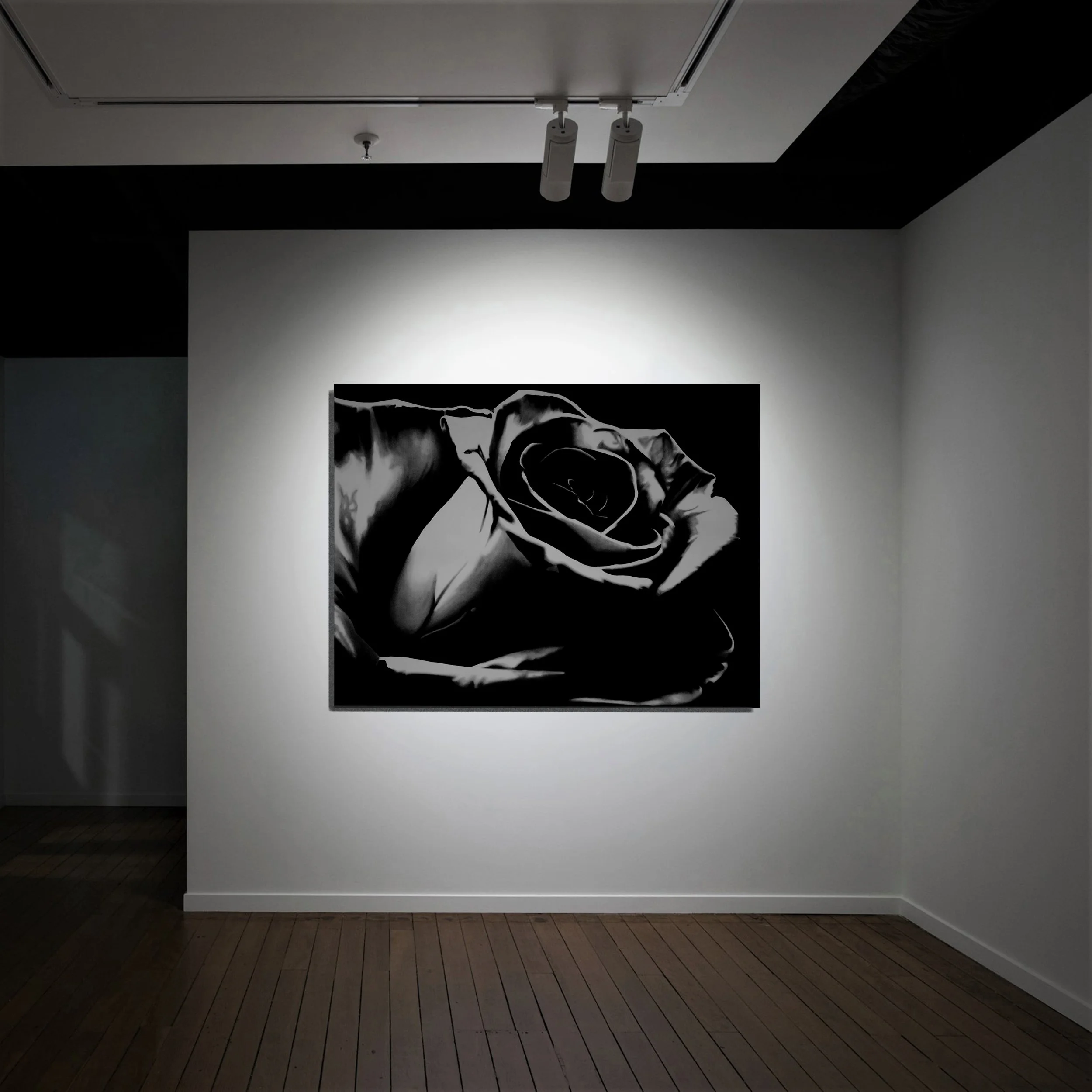 nick-apostolopoulos-flower-1-114x150cm_wall.jpg