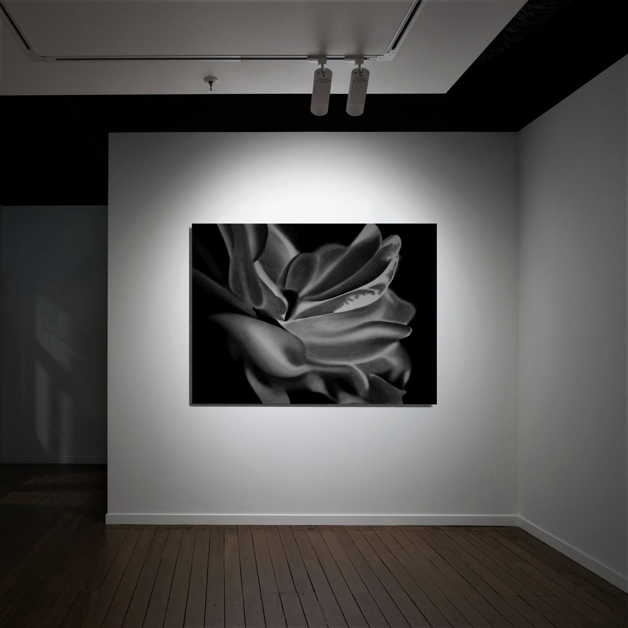 nick-apostolopoulos-flower-2-150x114cm_wall.JPG
