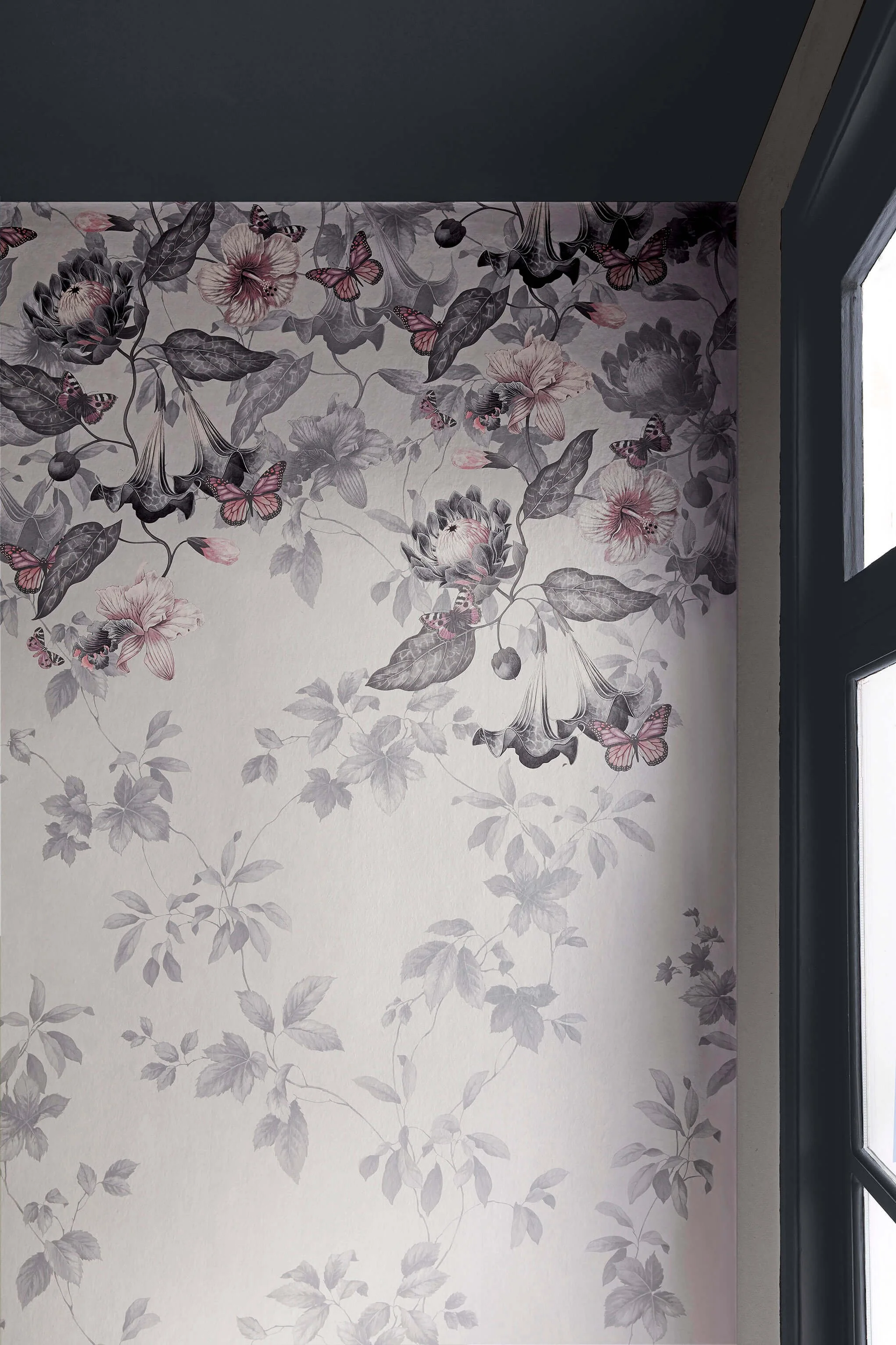 04 - LG ATII - Asterid - Nightshade.jpg