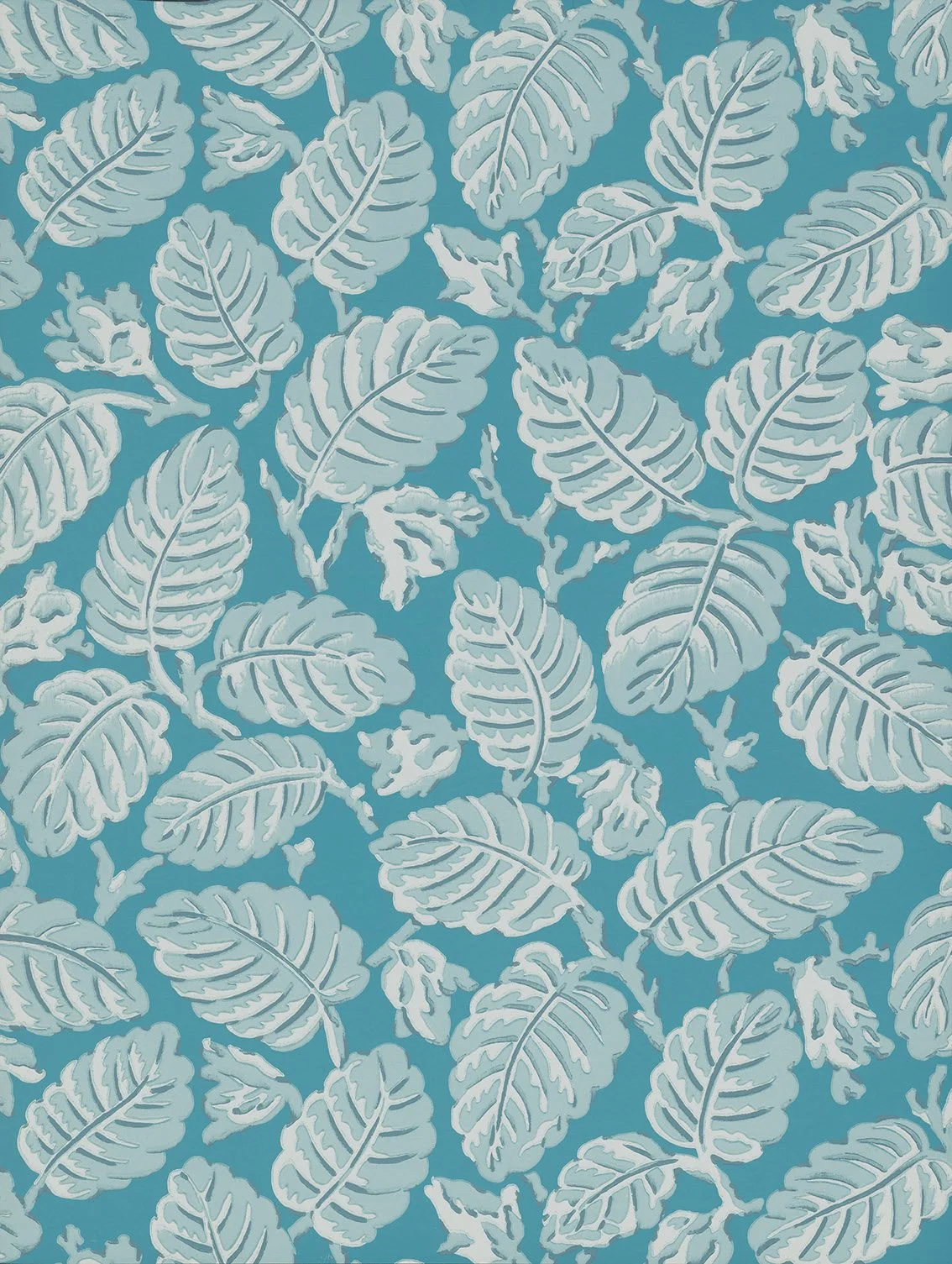 LGNTII_BeechNut_Summer LR.jpg