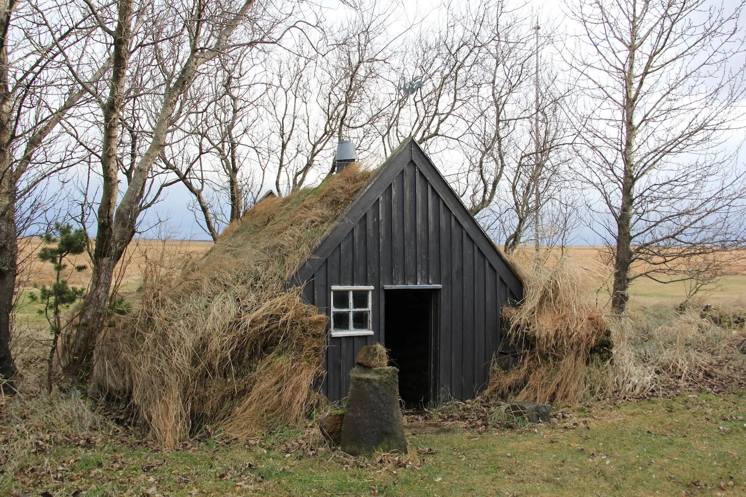 turffarm4.JPG