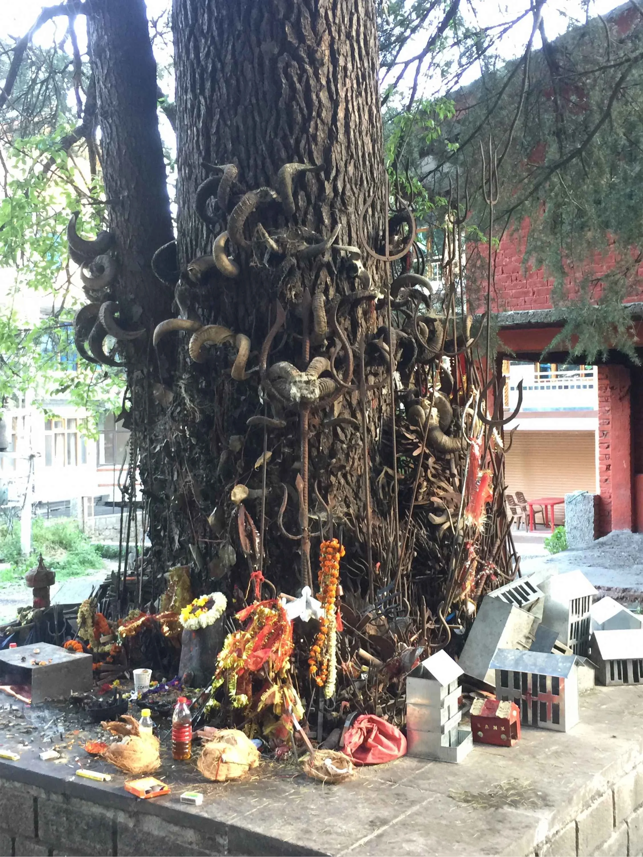 A Reflection at Samhain