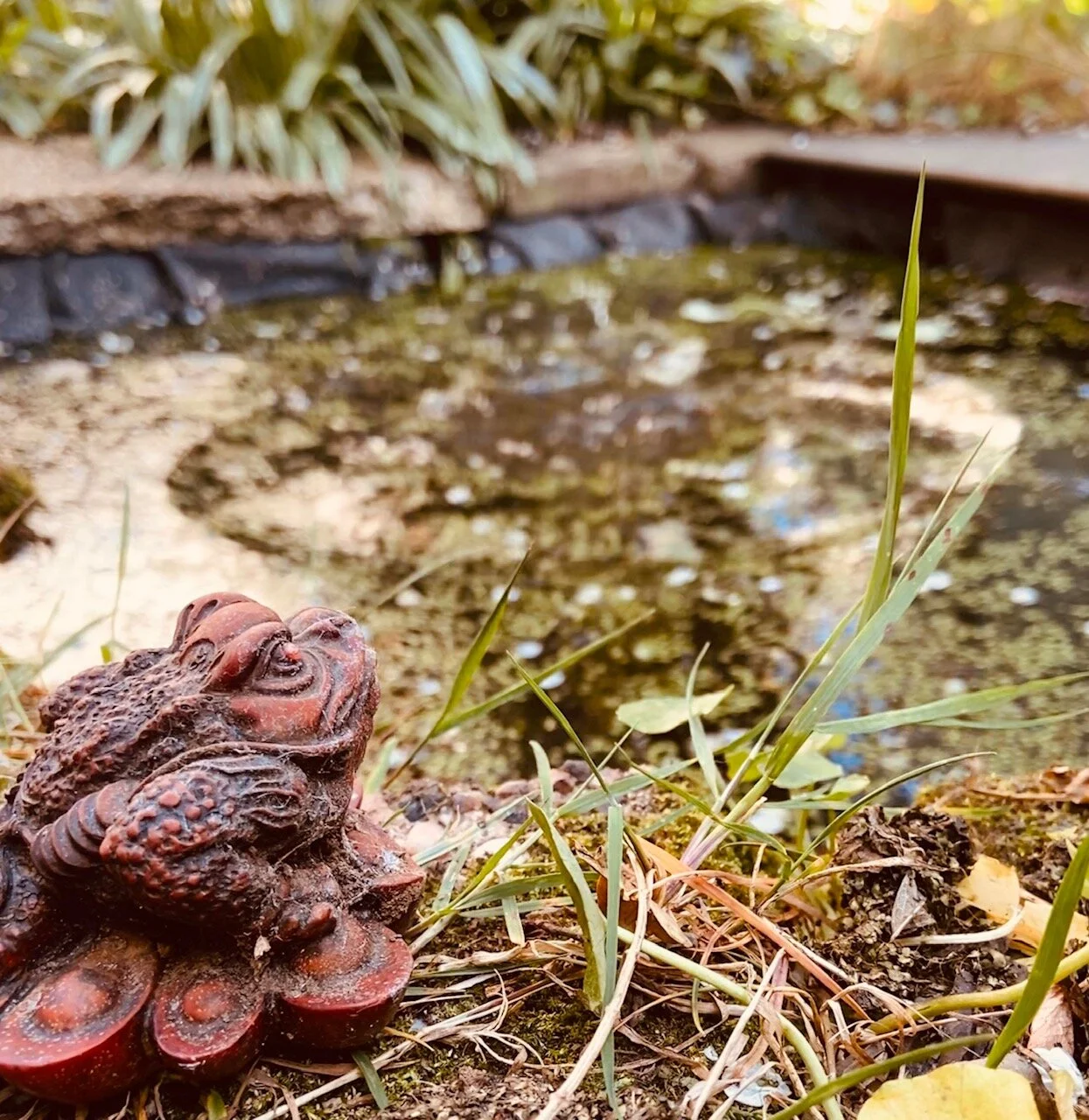 A Very Modern Plague