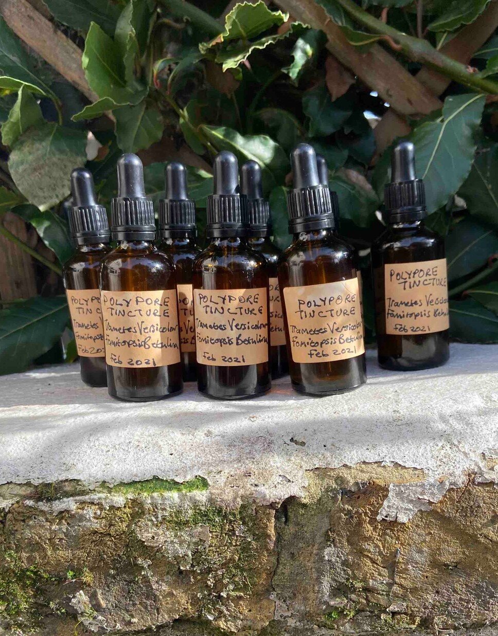 How to Make a Mushroom Double Extraction 